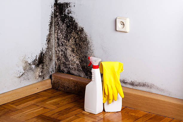 Water damage restoration process